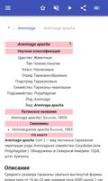 Тараканы скриншот 2