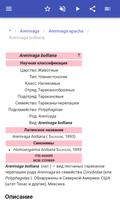 Тараканы скриншот 3
