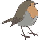 Passeriformes APK