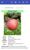 Varieties of apples تصوير الشاشة 2