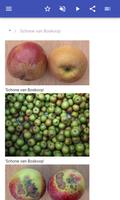Appelvariëteiten screenshot 1