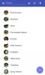 download Razze di cavalli APK