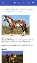 download Razze di cavalli APK