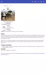 download Razze di cavalli APK