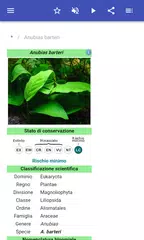 download Piante acquatiche XAPK