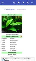 Aquarium plants syot layar 2