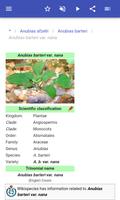 Aquarium plants syot layar 3