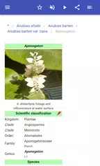 Aquarium plants XAPK download