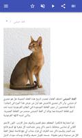 سلالات القطط تصوير الشاشة 1