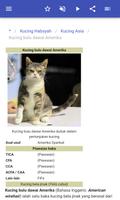 Baka kucing syot layar 3