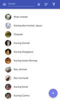 Baka kucing penulis hantaran