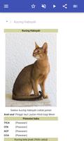 Baka kucing syot layar 1