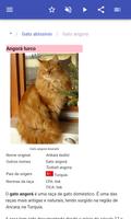 Raças de gatos imagem de tela 2