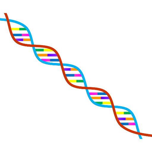 Os genes humanos