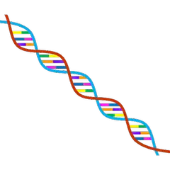 Menschliche Gene XAPK Herunterladen