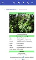 Sierbomen screenshot 2
