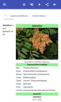 Sierbomen screenshot 3