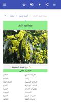 أشجار الزينة تصوير الشاشة 3