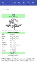 শোভাময় গাছ স্ক্রিনশট 1