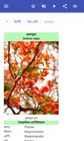 শোভাময় গাছ স্ক্রিনশট 3