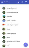 Poster Alberi ornamentali
