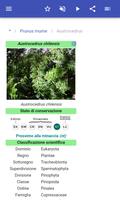 2 Schermata Alberi ornamentali