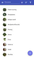 Pohon hias poster