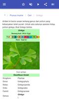 Pohon hias screenshot 3