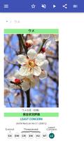 装飾用の木 スクリーンショット 1