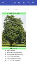 装飾用の木 スクリーンショット 2