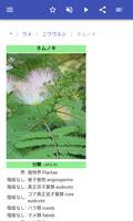 装飾用の木 スクリーンショット 3