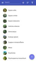 Ornamental trees پوسٹر