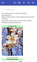 Ornamental trees اسکرین شاٹ 1