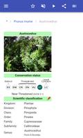 Ornamental trees اسکرین شاٹ 2