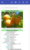 Плодовые деревья скриншот 1