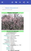 Плодовые деревья скриншот 2