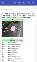 果树 截图 2