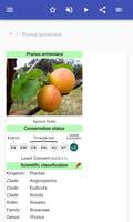 Fruit trees screenshot 1