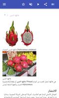 الصبار تصوير الشاشة 1