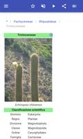 3 Schermata Cactus