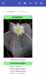 Baixar Cacti APK