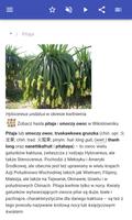 Kaktusy screenshot 1