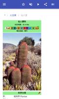 仙人掌 截图 2