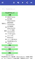 木 スクリーンショット 1