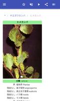 木 スクリーンショット 2