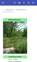 Baixar As árvores APK