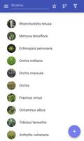 Poster Erbe medicinali
