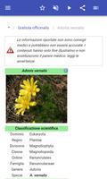 2 Schermata Erbe medicinali