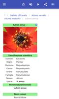 3 Schermata Erbe medicinali