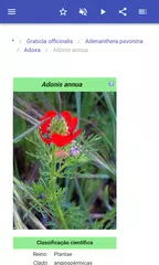 Baixar Ervas medicinais APK